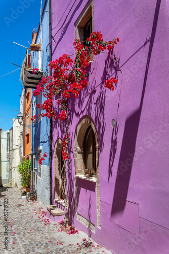 Colorful houses with flowers pots and bouguinvillea in a picturesque cobbled street in the old medieval village of Bosa, Sardinia island, Italy