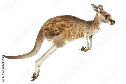 A kangaroo in mid-jump with its joey in the pouch, showcasing Australia's unique wildlife and dynamic nature.