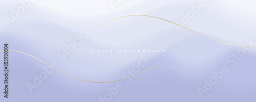 White abstract silver background with gold line decorative vector