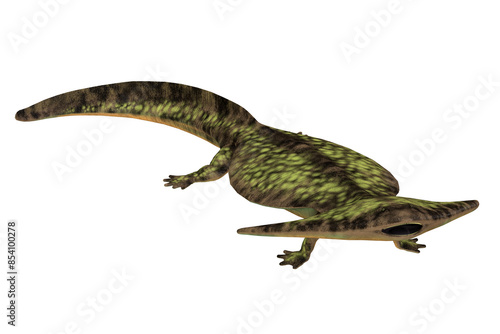 Diplocaulus Reptile - Diplocaulus was an amphibian tetrapod that lived in the Permian and Carboniferous Periods of North America and Africa.