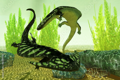 Diplocaulus Underwater - Diplocaulus was an amphibian tetrapod that lived in the Permian and Carboniferous Periods of North America and Africa.