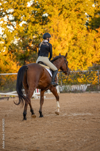 English Horse Rider riding bay horse wearing helmet