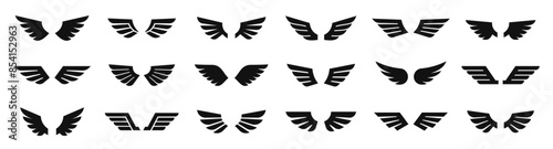 Wings flat icon. wings badges set. wing symbol vector illustration