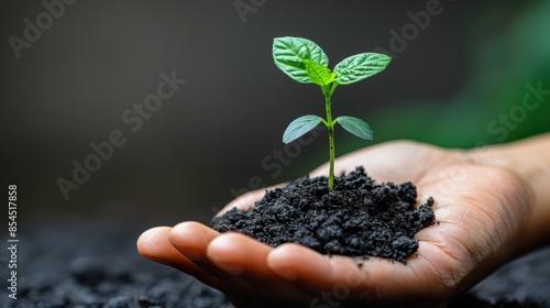 Close-up of a hand holding a small green plant growing in soil, representing growth, nurturing, and environmental care.