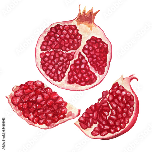 Pomegranate cut watercolor illustration isolated on white background. Art creative object garnet for menu, textile, card, sticker, wallpaper, wrapping