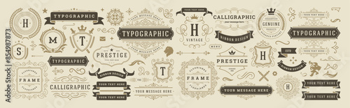 Vintage typographic decorative ornament design elements set vector illustration