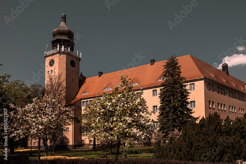 Elbląg, ratusz w Elblągu wiosną