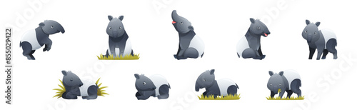 Cute Malayan Tapir as Asian Animal with White Patch and Short Nose Trunk in Different Pose Vector Set