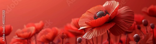 Close-up of a vibrant red poppy field with a ladybug perched on one flower, against a soft blurred background. Nature and beauty in perfect harmony.