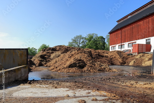 Large pile of manure. At a farm. Horse dung. Outside one summer day.