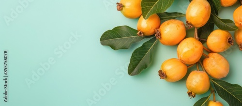 closeup view of fresh loquat Isolated on pastel background. with copy space image. Place for adding text or design