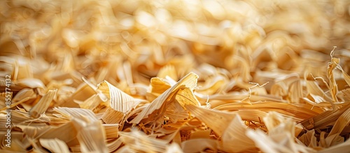 corn husk waste, agricultural organic waste. Copy space image. Place for adding text or design