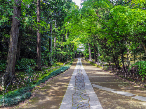 【神奈川県】鎌倉市・寿福寺参道