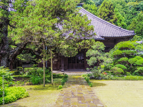 【神奈川県】鎌倉市・寿福寺参道