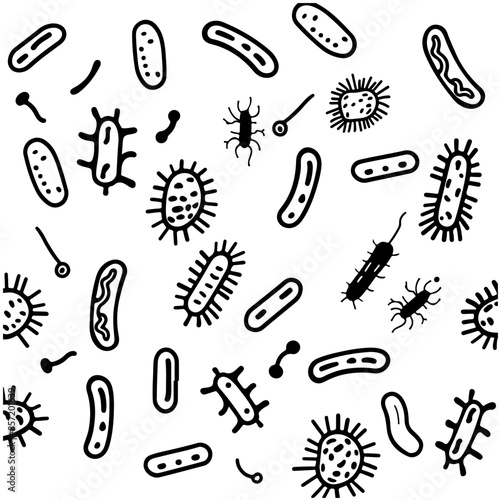 Bacteria