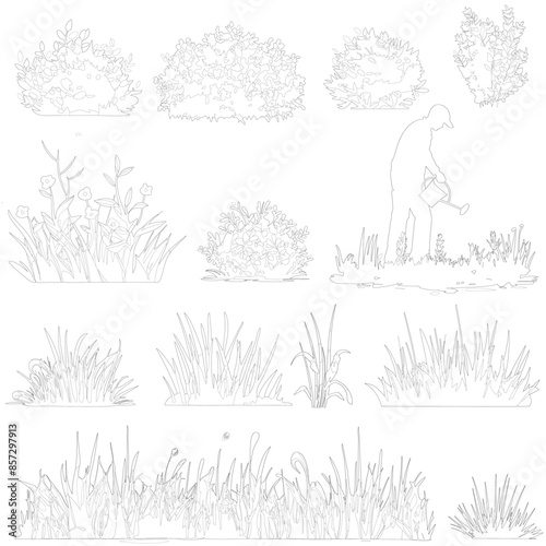 cad plants and grass, linear , llustrations 