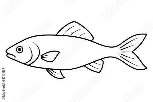 fish line art vector silhouette