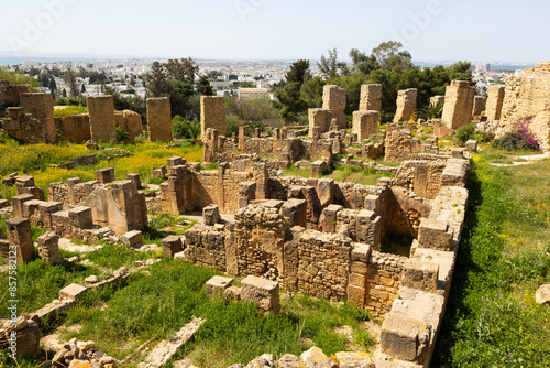Ruins of the house of Hannibal at the excavations of Carthage