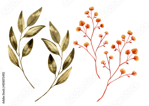 Floral watercolor set, flowers, leaves and twigs. Watercolor isolated flowers and plants. Orange flowers and green leaves for design, pattern elements.