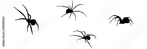 group spider silhouette illustration background for a halloween day