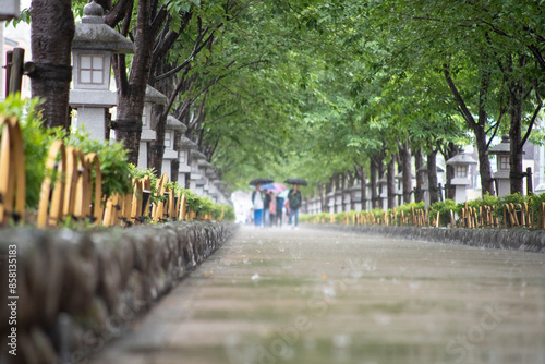 鎌倉246 鶴岡八幡宮25 若宮大路