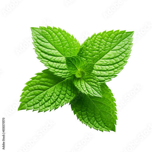 Fresh Mint leaf, Mint leaves isolated created with Generative AI