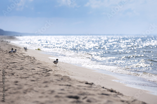 Linia brzegowa nad morzem, krajobraz morski, tapeta, wakacje i wypoczynek w słoneczny dzień, Morze Bałtyckie i piaszczysta plaża