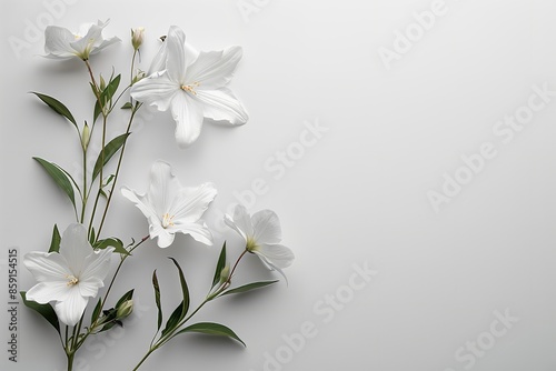 Emotional letters and fresh flowers over a quieted white setting enclosed in a plain black and white sympathy card with exquisite white blooms and space, Generative AI.