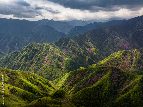 qinling mountains