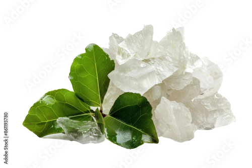 Natural camphor for medicinal use isolated on transparent background