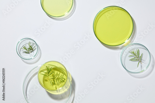 Many petri dishes filled with tea tree oil and containing tea tree leaves decorated over white background. Top view. Vacant space in the middle for product presentation