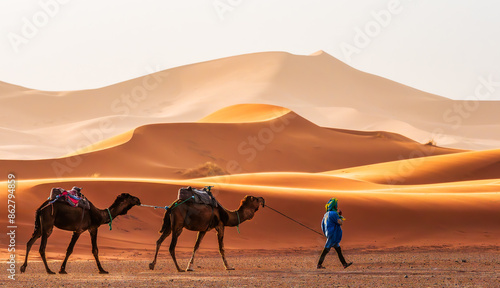 Landscape with camels caravan and a guide trekking through the golden sand dunes of Merzouga, Morocco, offering a glimpse into Sahara desert adventures.