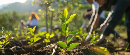 Close up of a small green plant growing in soil with blurry figures working in the background.