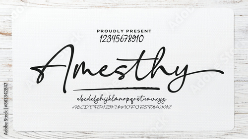 signature Font Calligraphy Logotype Script Brush Font Type Font lettering handwritten