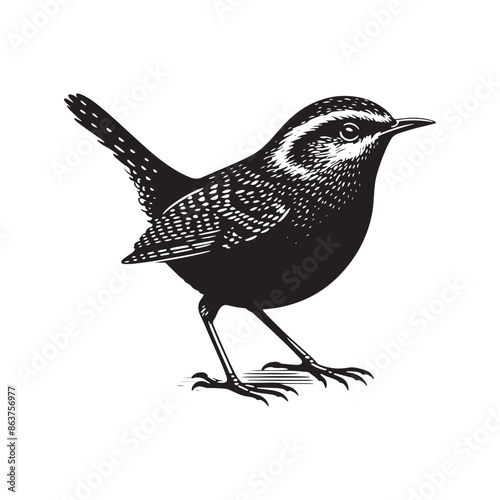 Bird wren silhouette - minimallest wren vector 