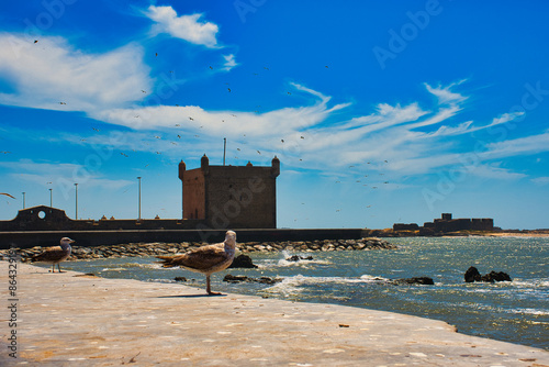 Puerto de Essaouira is a charming fishing port and historic rampart city located in the northwest of Morocco.