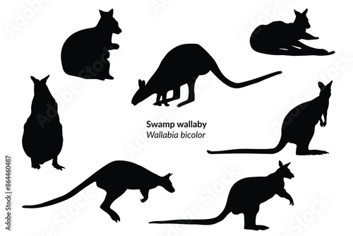 Swamp wallaby ( Wallabia bicolor ) isolated black icons
