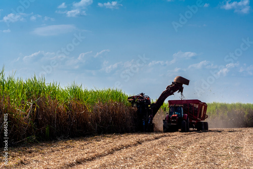 Harvesting machine working in sugar cane field in Brazil