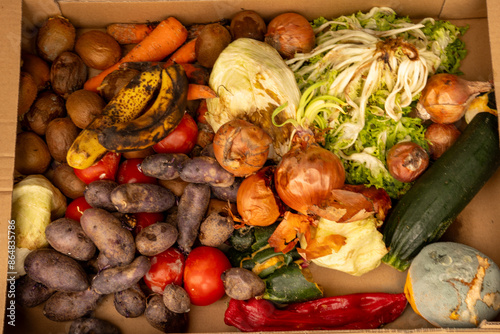 Collection box for spoiled fruit and vegetables for ecological purposes. It contains: carrots, onions, lettuce, peppers, purple potatoes, kiwi, zucchini, mushrooms, tomatoes and bananas