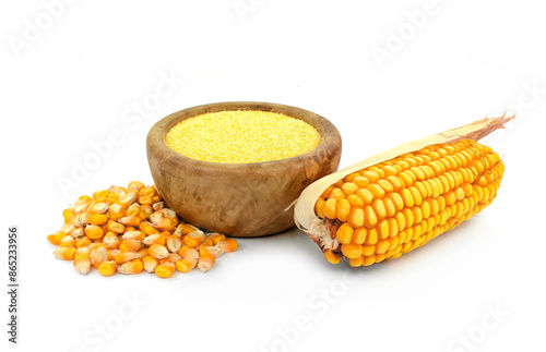 Corn meal polenta in wooden bowl and dry corn cobs and grains isolated on white background.