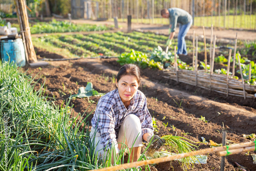 Successful female gardener with green onion on the field