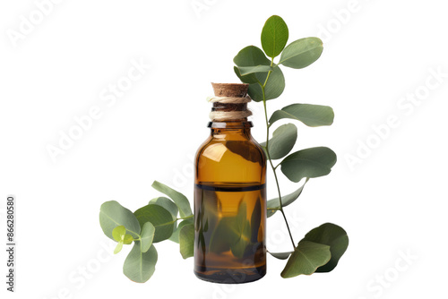 Eucalyptus oil bottle isolated on transparent background