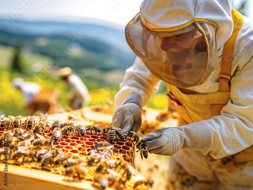 A man in a beekeeper's suit is tending to a hive of bees. The bees are clustered around the man, and he is carefully removing them from the hive