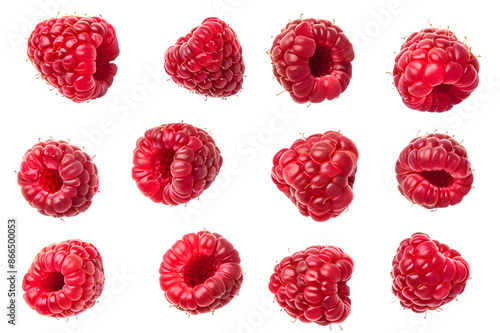  Fresh raspberry collection isolated on transparent background