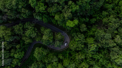 Aerial view asphalt road curve in jungle green forest with truck car winding road through the green forest, Truck car drive on the curve road between green forest, Curve road in woodland trip.