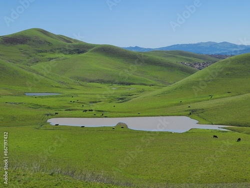 Winter rains bring lush greenery and lakes to the landscape of the California hills