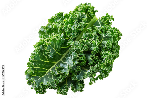 Fresh green curly kale salad leaf isolated on a white background.