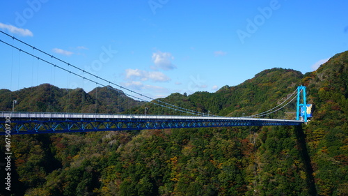 秋の竜神大吊橋