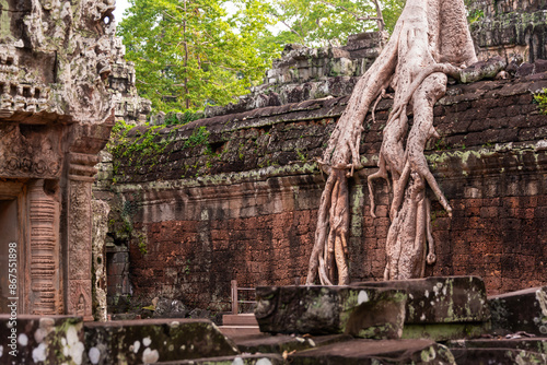 Angkor Thom, ancient temple ruins in Cambodia jungle with tree roots