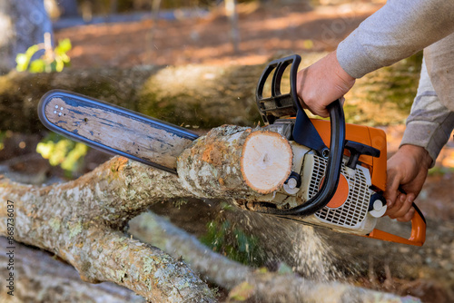 Worker from municipality are cutting down trees that have fallen as result of recent storm